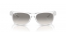  NEW WAYFARER RB2132 677432 