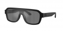  DG4507 2525/6G 