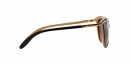  RA5203 1090T5 