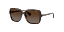  RA5333U 5003T5 