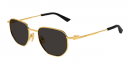  BV1301S 005 