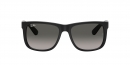  JUSTIN RB4165 601/8G 
