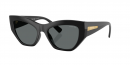  VO5607-S W44/81 