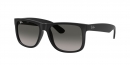  JUSTIN RB4165 601/8G 