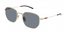  GG2095S 003 